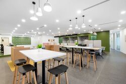 PLUS (D1), Office #543719461